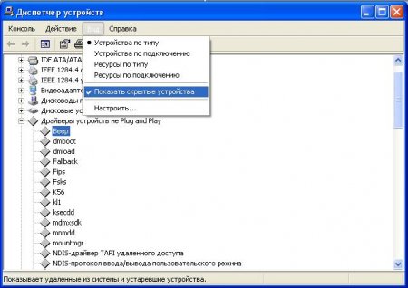       Windows XP