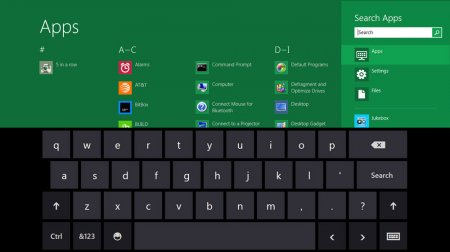Windows 8      