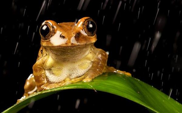  National Geographic -  2012