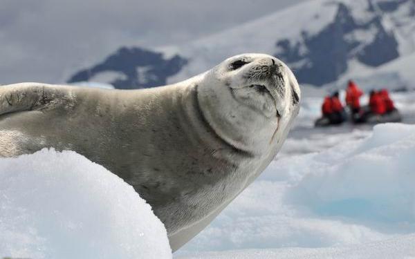  National Geographic -  2012