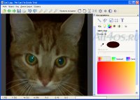 Pet Eye Fix Guide -      