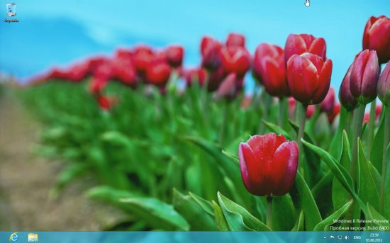 Windows 8 Release Preview   