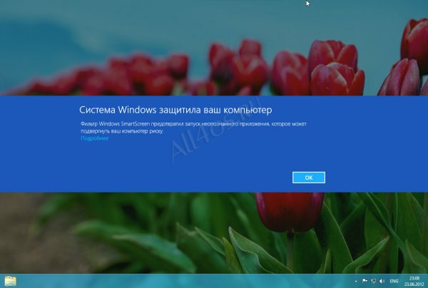    SmartScreen  Windows 8