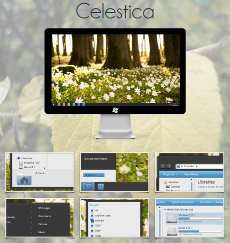 Celestica     Windows 7