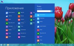        Windows 8