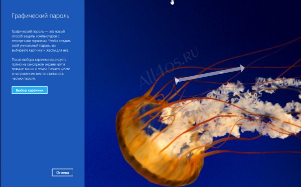      Windows 8