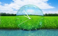 GrassLandscape         