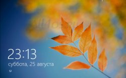      Windows 8