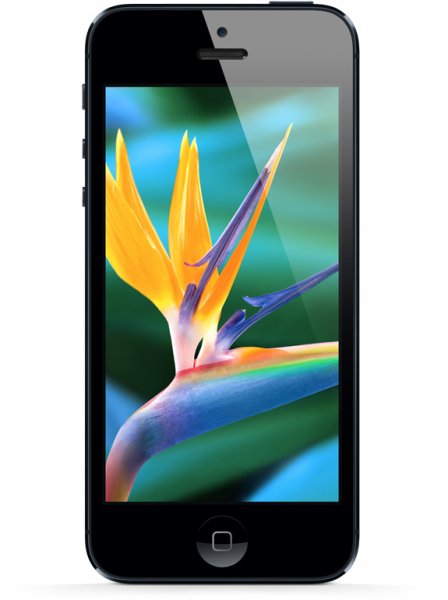   iPhone 5 (10   )