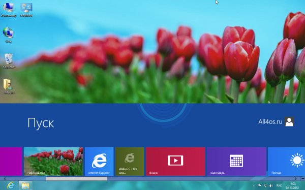  Metro-     Windows 8