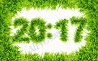 Clock Grass      