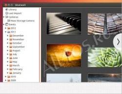   Linux  Windows