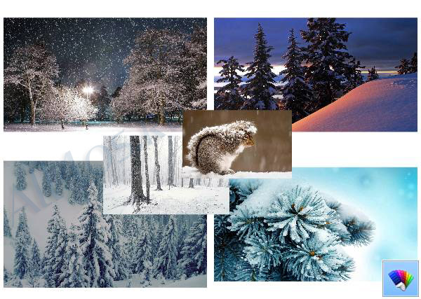 Winter -    Windows 8
