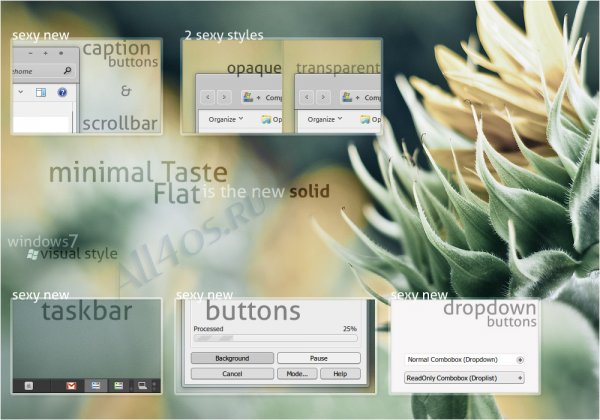 Minimal Taste Flat -    Windows 7