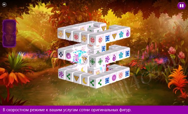   Windows 8 -  