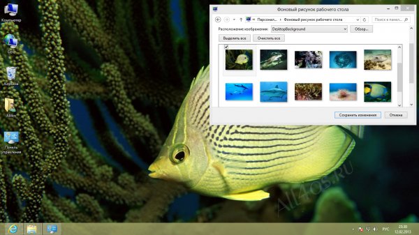      Windows 8