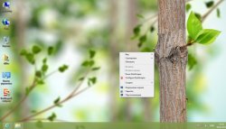     Windows 8