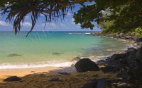 Ocean Shore -   ,   