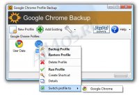 Google Chrome Backup -     Google Chrome