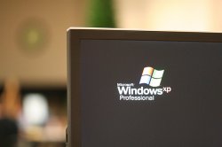      Windows (  )