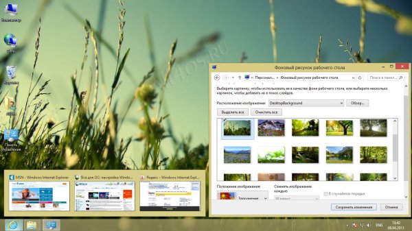 Spring -    Windows 8