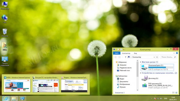 Spring -    Windows 8