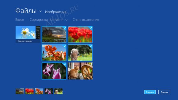 Fotor     Windows 8