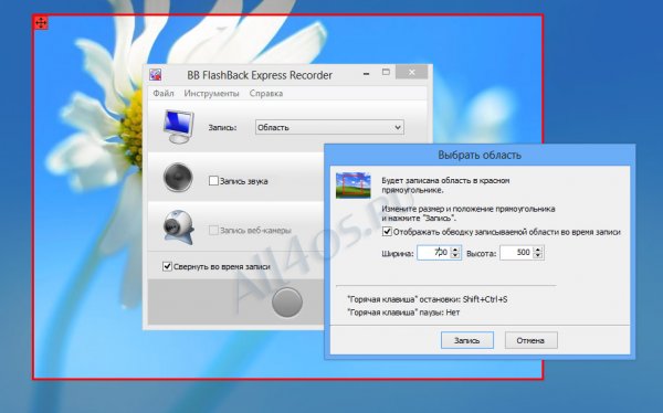 BB FlashBack Express -       