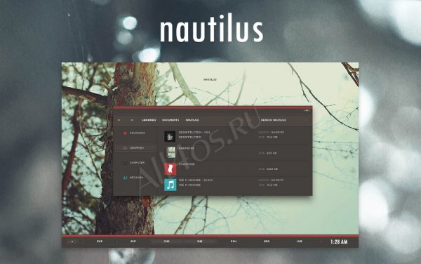 Nautilus -      