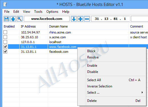 BlueLifeHosts editor -     hosts