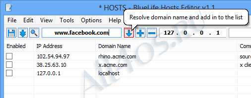 BlueLifeHosts editor -     hosts