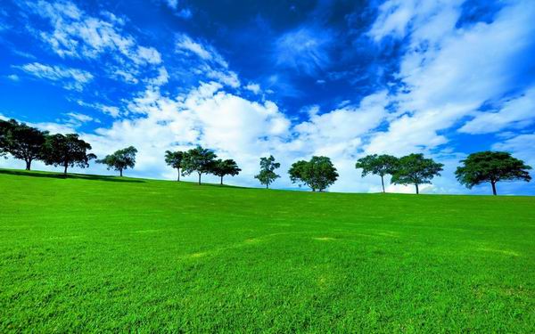 100 Excelent Landscapes HD Wallpapers