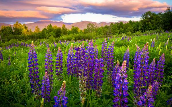 100 Excelent Landscapes HD Wallpapers