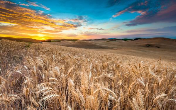 100 Excelent Landscapes HD Wallpapers