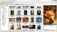 XnView -     