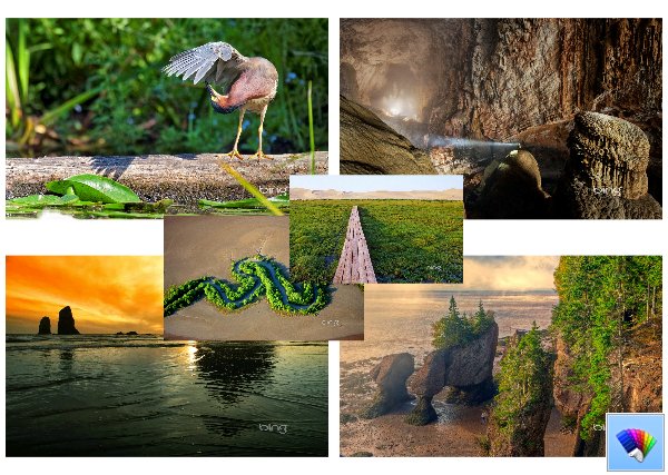 Daily Bing 31, 32     Bing  Windows 8