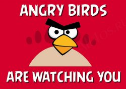  - Angry Birds    