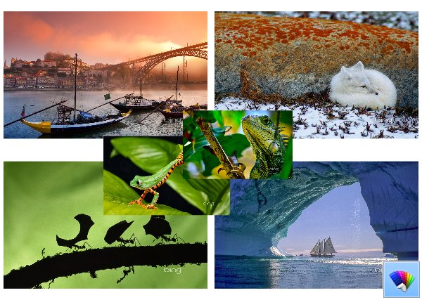 Daily Bing 35, 36, 37 – природные темы от Bing для Windows 8