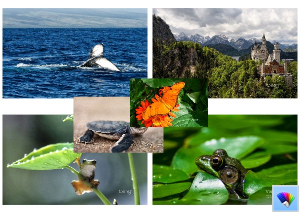 Daily Bing 38, 39, 40     Bing  Windows 8