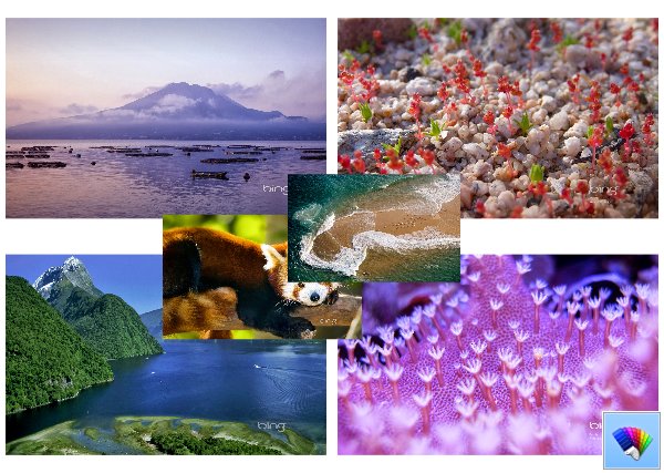 Daily Bing 41      Bing  Windows 8