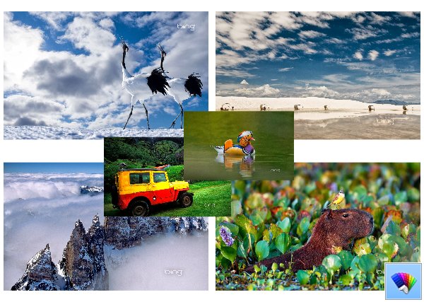 Daily Bing 43      Bing  Windows 8
