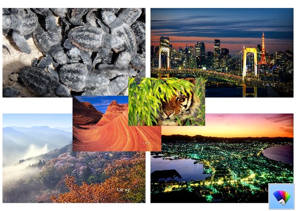 Daily Bing 45     Bing  Windows 8