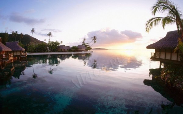 Paradise -    