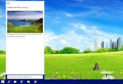        Windows 10