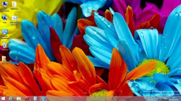 Amazing Flower Colors -     Windows 8