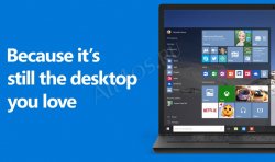 Windows 10    29 