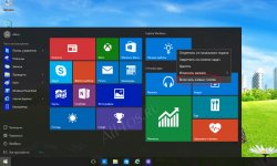      Windows 10