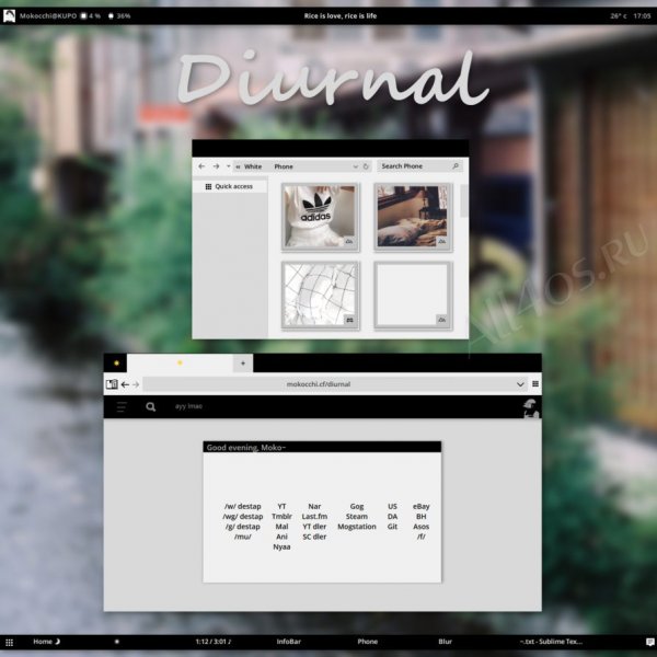 Diurnal W10 -      Windows 10