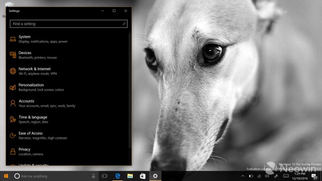    Windows 10    Windows Store  