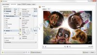 XnConvert       